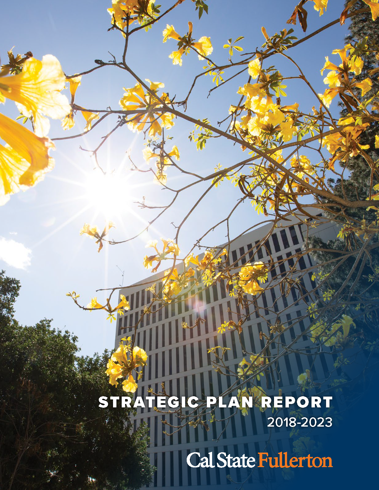 Strategic Plan Report cover, mccarthy hall behind yellow flowers